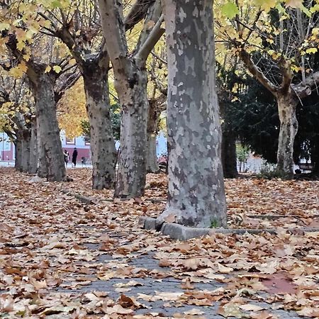 Apartamento Calamina Riópar Dış mekan fotoğraf